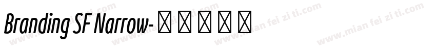 Branding SF Narrow字体转换